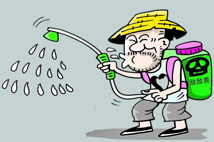 1766628010968567.jpg 1766628010968567.jpg